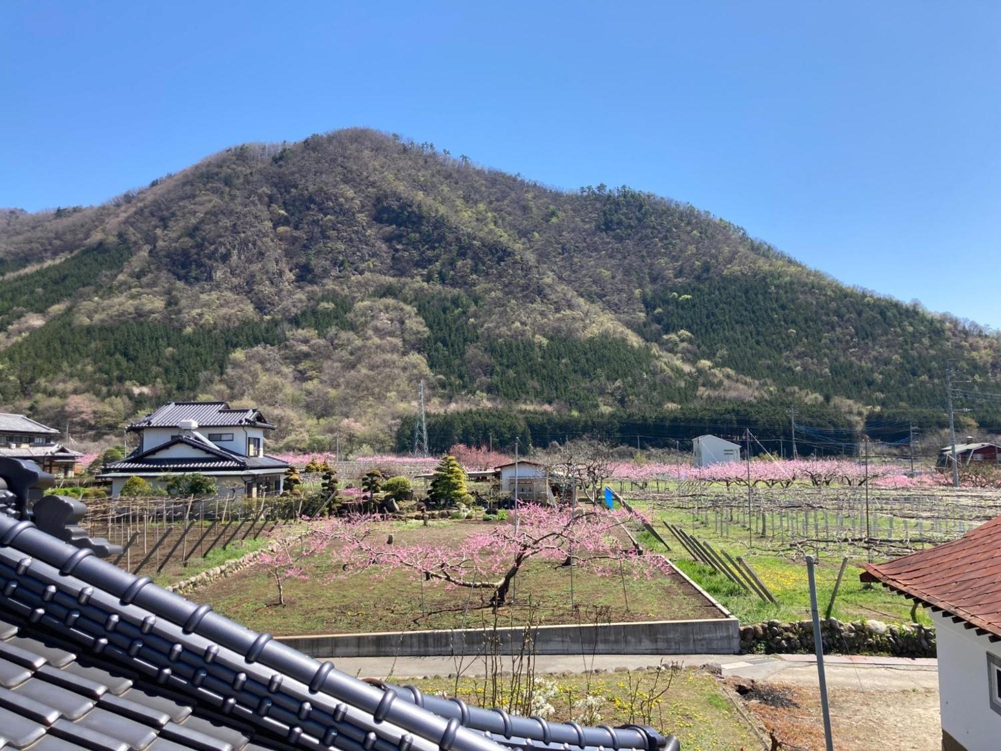 B&B Ladies Only Grape Mama Peach Room - Vacation Stay 11708 Koshu Extérieur photo